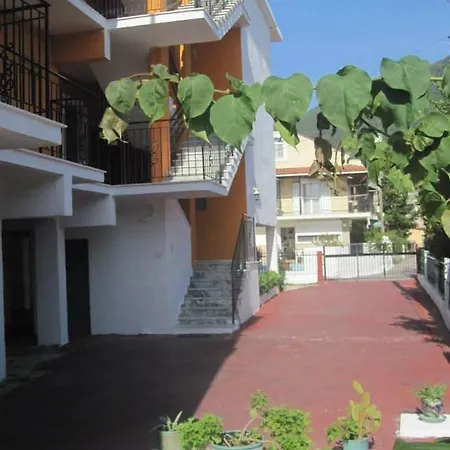 Anetta & Apartment Ipsos